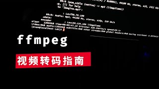 ffmpeg实用教程：6 视频转码指南 [upl. by Schaffel664]