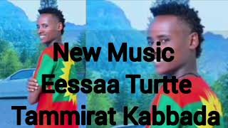 Tammirat KabbaadaHundaa Dandeenye New Oromo Music 2024 OfficialTasfayeentartinment1670 [upl. by Nazario]