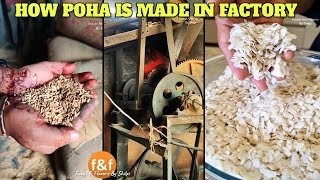 जानिए फैक्ट्री में कैसे बनता है पोहा How poha is made in Factory Flatten Rice Making Process [upl. by Olnek400]