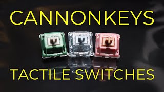 CannonKeys Tactile Switch Comparison Anubis Cerulean Neapolitan [upl. by Anair]