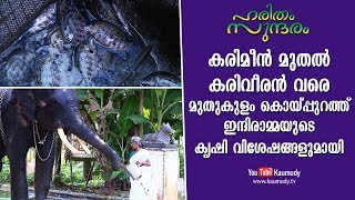 Pearl Spot to ElephantMuthukulam Koippuram Indiramma’s farming story  Haritham Sundaram EP 178 [upl. by Spoor]