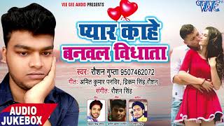 Pyar Kahe Banawala Vidhata  AUDIO JUKEBOX  Raushan Gupta  Bhojpuri Hit Songs 2018 [upl. by Ahseenyt671]