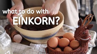 MustHave Einkorn Recipes [upl. by Spieler]