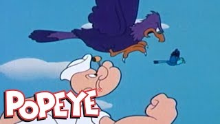 Classic Popeye Episode 26 Love Birds AND MORE [upl. by Spooner]