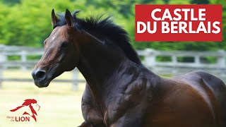 Castle du Berlais le Saint des Saints confirmé au Haras du Lion en 2024 [upl. by Aillimac218]