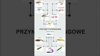 Przynęty Spinningowe podstawy [upl. by Hollis]