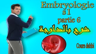 Embryologie s1  partie 6  Amphimixie  شرح بالدارجة [upl. by Rraval830]