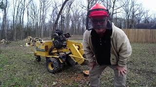 Stump Grinding Vermeer 252 Greenteeth Upgrade 14quot Red Oak [upl. by Rock]