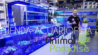 TIENDA ACUARIOFILIA ANIMAL PARADISE [upl. by Mulligan]