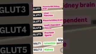 GLUT SGLT transport neetpgpreperation inicet biochemistry physiology usmle [upl. by Dhiren581]