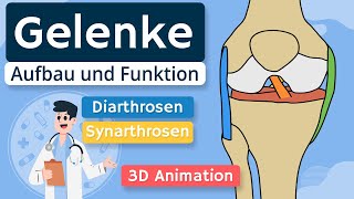 Gelenke  Aufbau und Funktion einfach erklärt  3D Animation [upl. by Zoltai608]