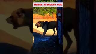 Horse kicked the dogdog viral horse horsefight danger ytshort youtubeshorts [upl. by Isolt]