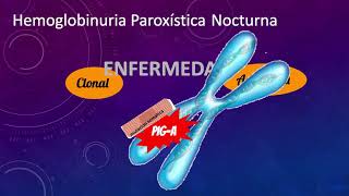 Hemoglobinuria Paroxistica Nocturna [upl. by Brok828]