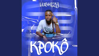 KPOKÔ feat Lushizy [upl. by Roy]