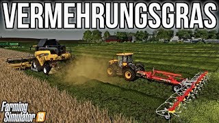 Harvesting Vermehrungsgras amp Making Hay  New Woodshire  Farming Simulator 19 [upl. by Womack]