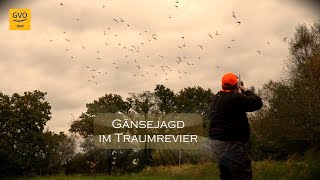 Gänsejagd im Traumrevier Aurich [upl. by Peisch]