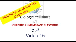 biologie cellulaire s1 vidéo 016  la membrane plasmique شرح [upl. by Aiuqat]