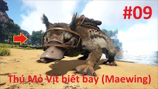 ARK Lost Island 09  Mình Bắt Được Thú Mỏ Vịt Biết Bay quotMaewingquot Bay Hơi Bị Phê Luôn 👍😆 [upl. by Repmek]