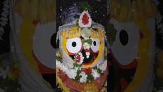 Mana Pakhi Jhure Kaliare jagannath odiajaganathbhajan devotionalsong newodiabhajan iramahanty [upl. by Bithia]