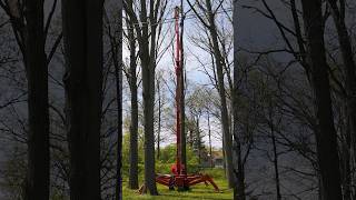 Spider lift tree removal treework trees arborist shorts [upl. by Alikahs]