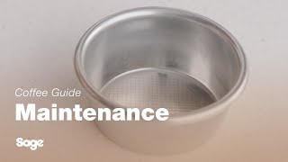 The Bambino®  Performing a filter basket rinse on your coffee machine  Sage Appliances UK [upl. by Vinn]