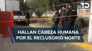 Encuentran cabeza humana dentro de una hielera en las inmediaciones del Reclusorio Norte [upl. by Oiredised]