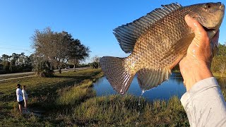 Cast Netting Fresh Water Invasive Species  Catch Clean and Cook [upl. by Lednek]