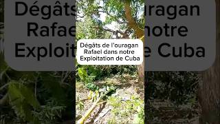 aide Humanitaire Cuba Lahavane lespetitscoeursdecuba ouragan solidaire [upl. by Kamillah]