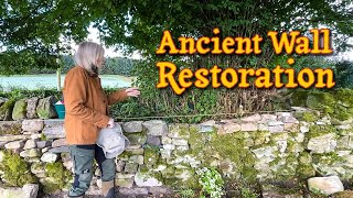 Ancient Wall Restored  Creating a Secret Entrance  Country House Renovation Rural Scotland [upl. by Snej]