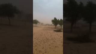 Sand storms🌪 in Deserts 🏜 [upl. by Ayek602]