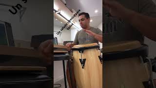 Saludo rítmico desde Bahamas  caribean drums drummer [upl. by Wade]