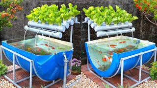 Recyclable cheap but effective aquaponics from plastic barrel [upl. by Tillie]