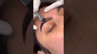 Eyebrow Tinting amp Dyeing Transformations 😘 [upl. by Dustan]