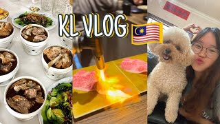 KL Vlog 2024 🇲🇾✨ 一起去 KL dimsum luge park cafe [upl. by Julius]