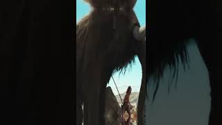 10000 BC 2008 movie fyp fypシ viral hollywood usa canada foryou [upl. by Enilamme510]