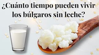 ¿CUÁNTO TIEMPO PUEDEN VIVIR LOS BÚLGAROS SIN LECHE🥛 [upl. by Anomar]