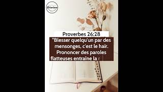 Verset Biblique Du Jour  Proverbes 2628  La langue fausse hait ceux quelle écrase [upl. by Harutak136]