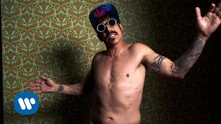 Red Hot Chili Peppers  Dark Necessities Official Music Video [upl. by Dotson]