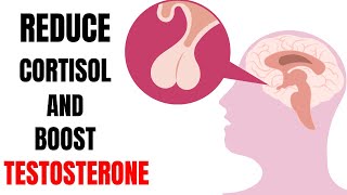 Proven Strategies to Reduce Cortisol and Testosterone Levels Naturally [upl. by Oos]