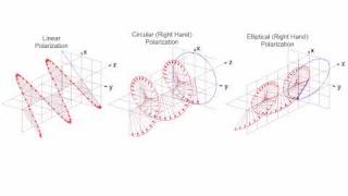 Linear Circular and Elliptical Polarization Animation in a Single Shot [upl. by Thilde]