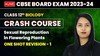 Sexual Reproduction in Flowering Plants  One Shot Revision Part 1  Class 12 Biology Chapter 1 [upl. by Nyleek]