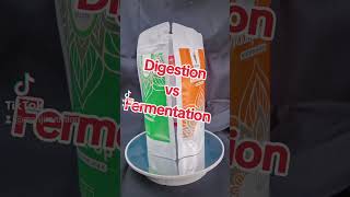 Digestion vs Fermentation kitdetoxbiobyjosiek [upl. by Nnave878]