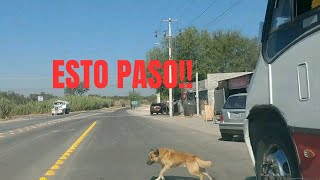 San Miguel de Allende de la Aurrera a los veneros casi me lo llevo [upl. by Eniamsaj]