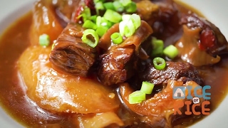 Instant Pot Beef Brisket Stew with Daikon [upl. by Lielos10]