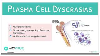 Plasma Cell DisordersDyscrasias  Multiple Myeloma Pathology Review [upl. by Ymerrej]