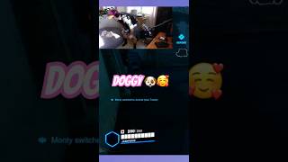 My little doggie came to say hi 🥰 overwatch2 gaming twitch streamerlife gamingstream dog [upl. by Ahtiuqal]