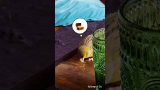 Ivy spotted flaked almond left for her 🤩 birds cutepets canary funnyshorts [upl. by Krutz]