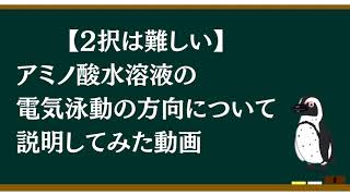 アミノ酸水溶液が電気泳動するとき，pHによってどちら側に移動するか？を説明した動画 [upl. by Earised]