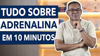 Resumão sobre adrenalina [upl. by Combs]