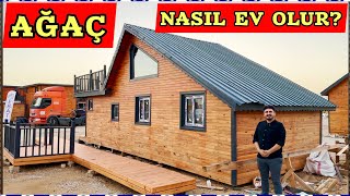 Ahşap Ev Nasıl Üretilir Ağaç Ev Nasıl Yapılır Fiyat ve Maliyeti  Wood Tiny All House Framing [upl. by Willis]